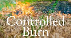 Controlled Burn