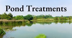 Pond Treatments